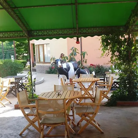 Apartahotel Apartcomplex Panorama Dreams Sveti Vlas
